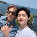 스테이 하루 이미지