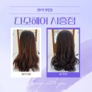 시흥5동주민센터 대강당 | 시흥동미용실 다모헤어 시흥점에서 초코브라운 컬러 염색 솔직후기