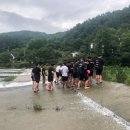 대도체육관 이미지