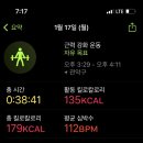 자라 앞 이미지