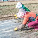 의성농산 이미지