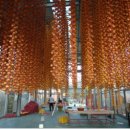 둥구리마을 이미지