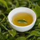 신현대사 이미지