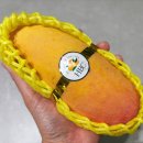 만국상회 이미지