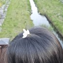 소하근린공원 | 소하 창조의아침 미술학원 학생들의 짧은 벚꽃 나들이
