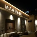 매그네이트 이미지