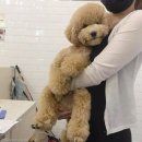 엄마사랑화장실 이미지