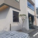 데일리603 이미지