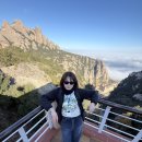 라디오가가 | 바르셀로나 당일 근교 투어 몬세라트 지로나 노마드벤츠 가가 가이드 솔직후기