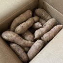 박동호농장 | 전남 해남 박동호 해남농장 고구마로 고구마활용 요리하기 - 믹서기없이 고구마스프 만들기, 에어...