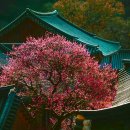 지리산호텔 이미지