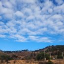 마산면사무소 이미지