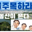 충주를 주목하라. 이미지