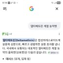 미국흰불나방 방제 적합 농약 종류 이미지