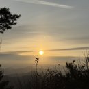 한벌태권도장 이미지