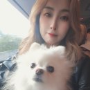 고성여행