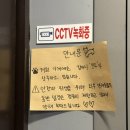남포동 크로플맛집카페 [더타임나우] 귀여운 웰시코기 강아지랑 힐링하고 왔어요! 시즌한정메뉴 망고...