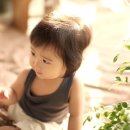 꿈꾸는 숲 이미지