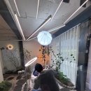 테오트리(teotree)