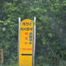 개건너이사왔네 | 원주 막국수 맛집 개건너 이사왔네 시원한 한 그릇이 생각날 때