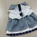 강아지 뷰티 이미지