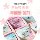 두메향민박 | 무농약 인증받은 국내산 프리미엄 발효차 - 두메향 꽃차