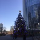 통큰딱다구리 이미지