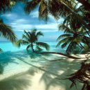 글로리펜션 이미지