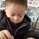 청개구리약국 Daum카페