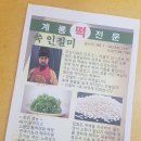 충청남도 계룡시 엄사면 엄사리 331-0 | 계룡시 떡집 떡배송! 쑥인절미 떡주문은 '계룡떡전문'