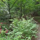 팔용초등학교 이미지