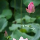 드르와