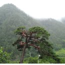 쌍둥이네농장 이미지