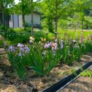 쟁여울황토 이미지