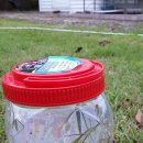 로뎀나무 아래 이미지