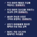 용인대 영광태권도 이미지