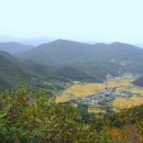 그린목장 이미지