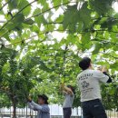 봉산면사무소 이미지