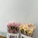 [혜주어스] 청석교회로 보내드린 조화 장미 한송이다발 단체주문 후기 / 실크플라워 꽃다발