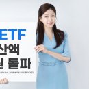 100 이미지