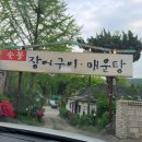 잣나무골 | 남양주 북한강 매운탕집, 잣나무골 메기매운탕