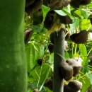 담비농장 이미지