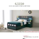 G5250 이미지