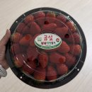 신사제일주유소 | 첫 도전(시오네베이크샵), 서울동아마라톤 대회 10km 참가(PB 달성!), 동은성 평일 저녁 1시간 웨이팅 후기