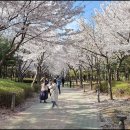 석남완충녹지공원 이미지