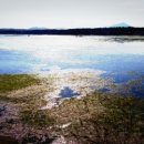 블루포니 게스트하우스 이미지