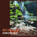 홈플러스 인하점 수족관 | 아쿠아가든 일산 일산 카페 끝판왕, 수족관에서 커피 마신 기분