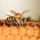 강수농장 이미지