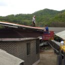 호법목장 이미지