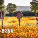남양 유아숲체험원 이미지